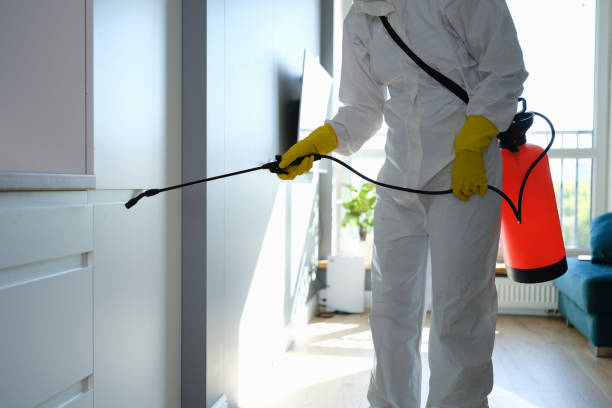 Best Mold Remediation for Schools in Carlton, OR