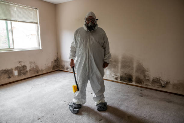 Best White Mold Remediation in Carlton, OR